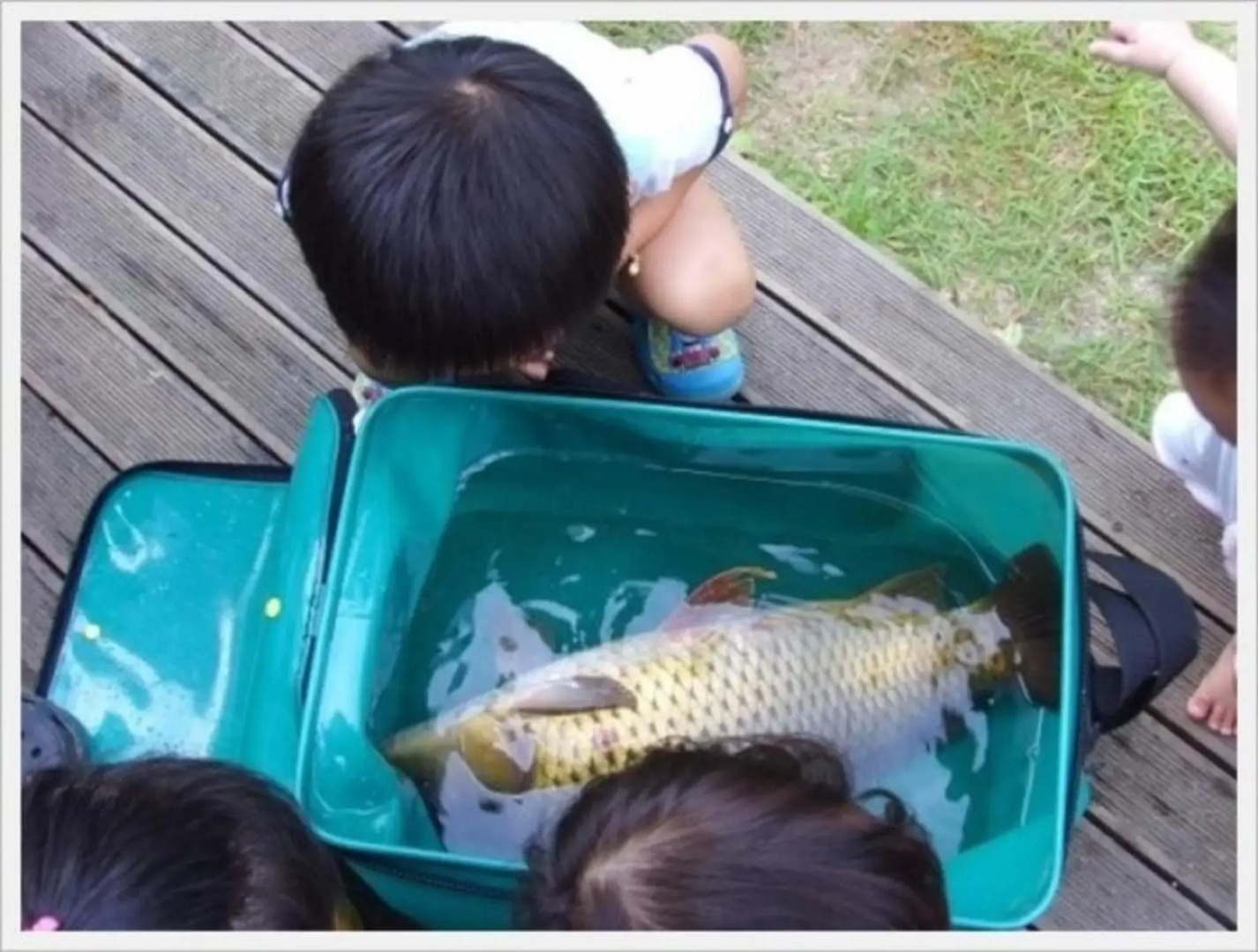Yangpyeong Hayandohwaji Pension