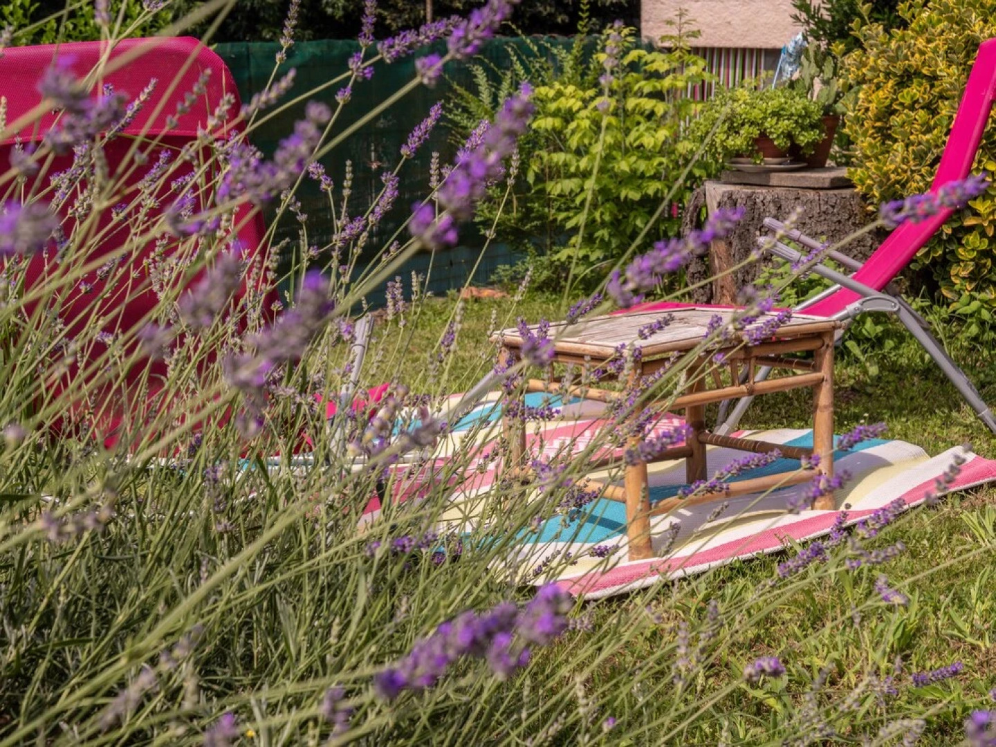 Chambre d'hôtes Agnes et Olivier