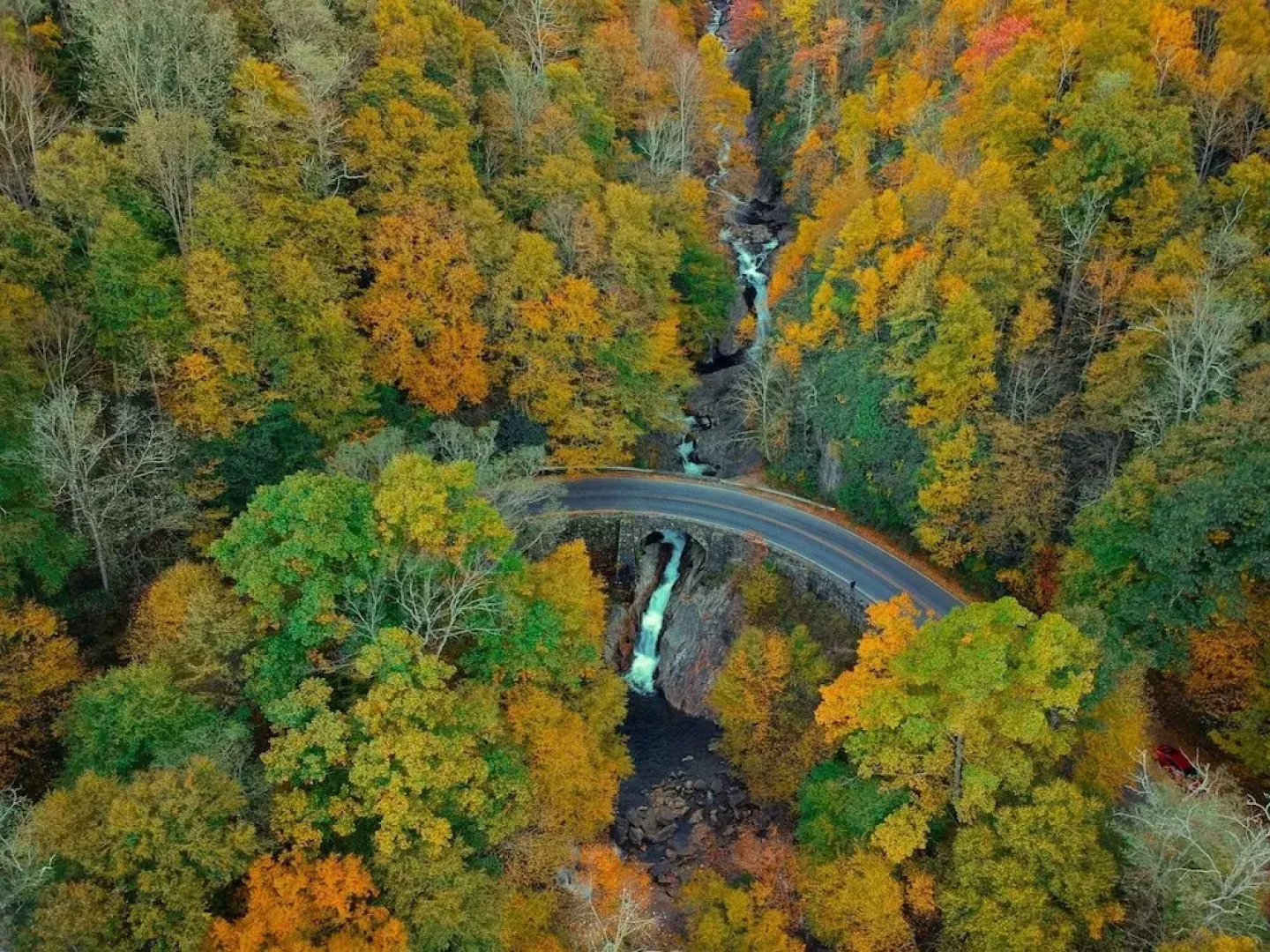 Charming Getaway W/ Luxe Interior & Screened Patio 2 Bedroom Cottage