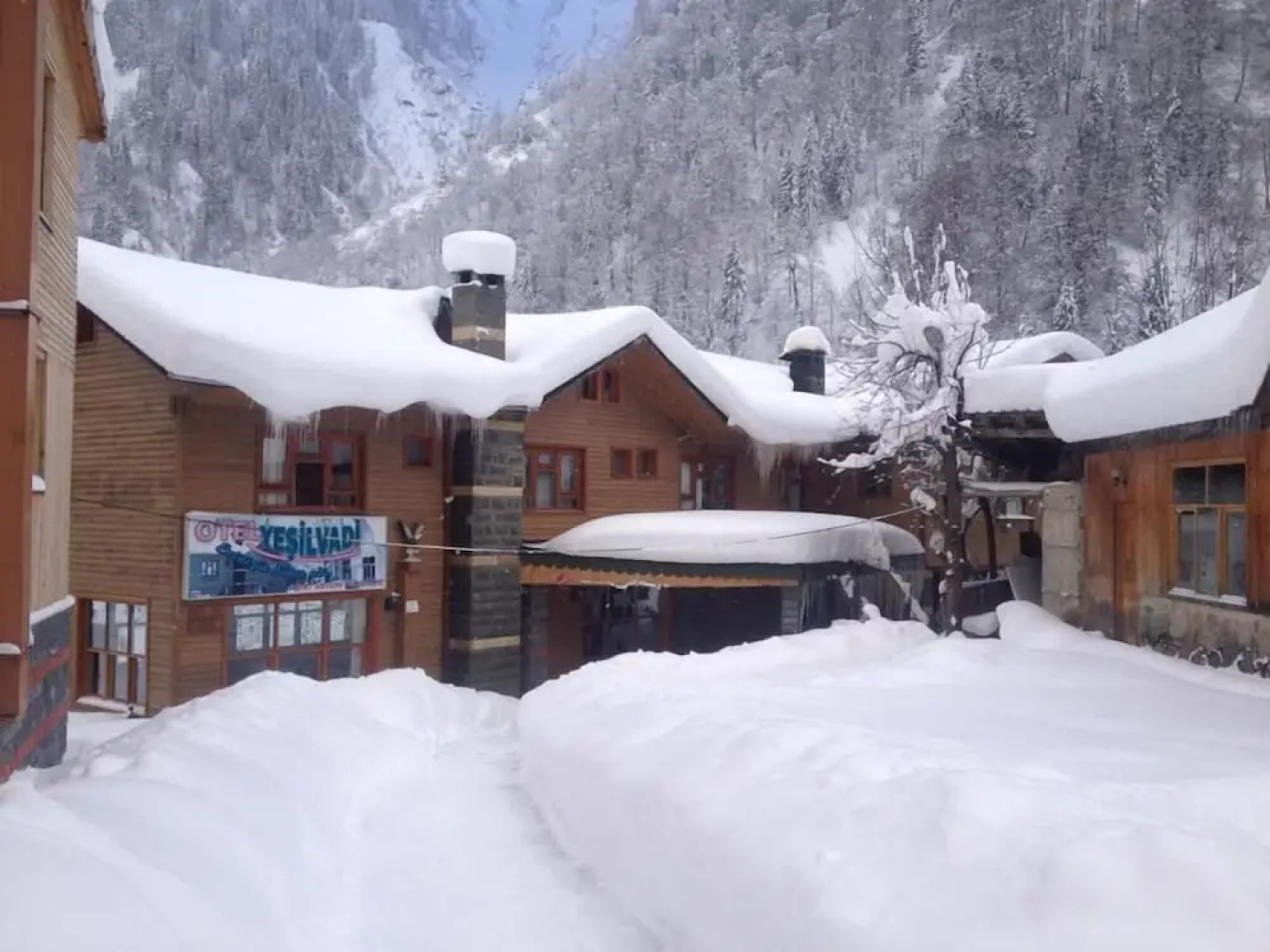 Ayder Yesil Vadi Otel