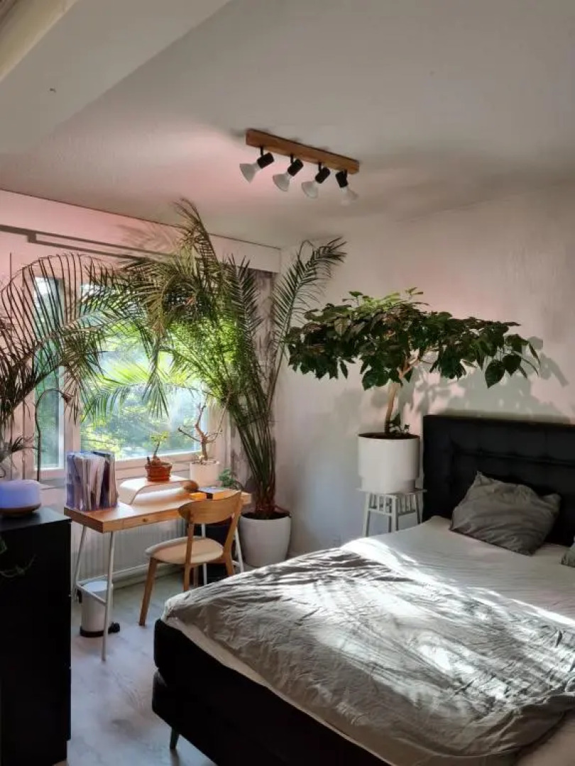 Paradise apartment