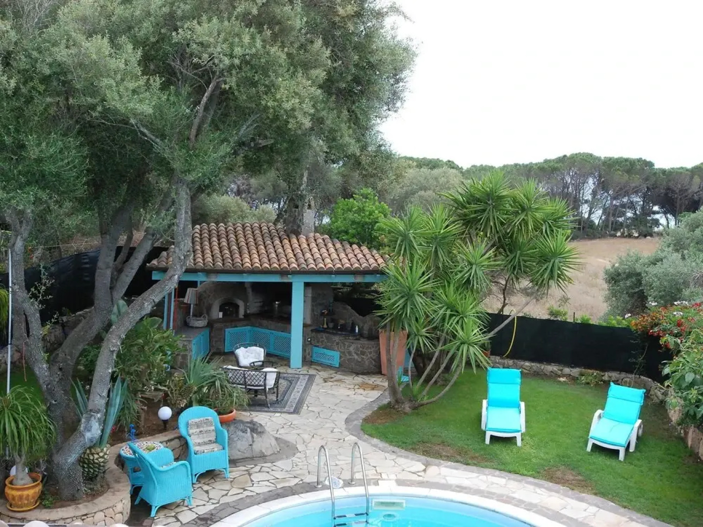 Surphinia Torre di Bari