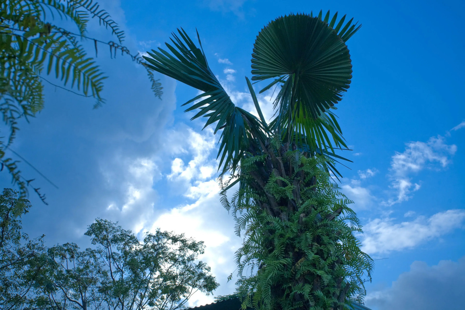 Phong Nha Friendly Home