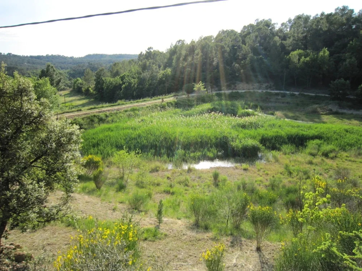 Beautiful Holiday Home in Barjols With Swimming Pool