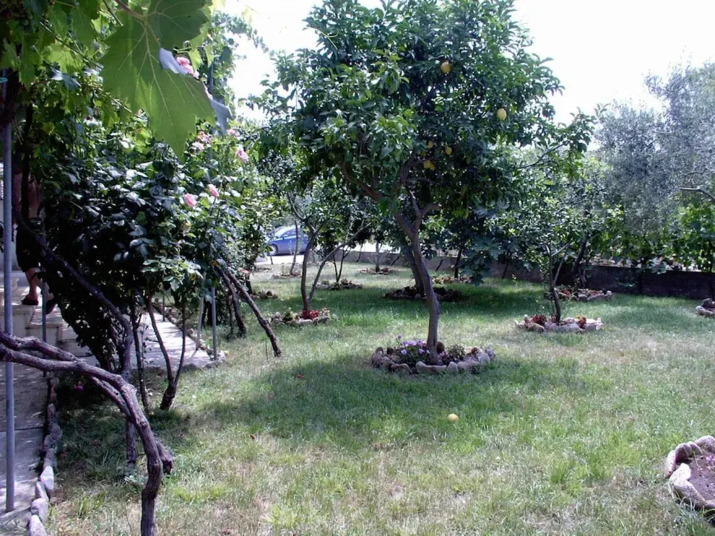 Blue - 200 m From sea - Sa13