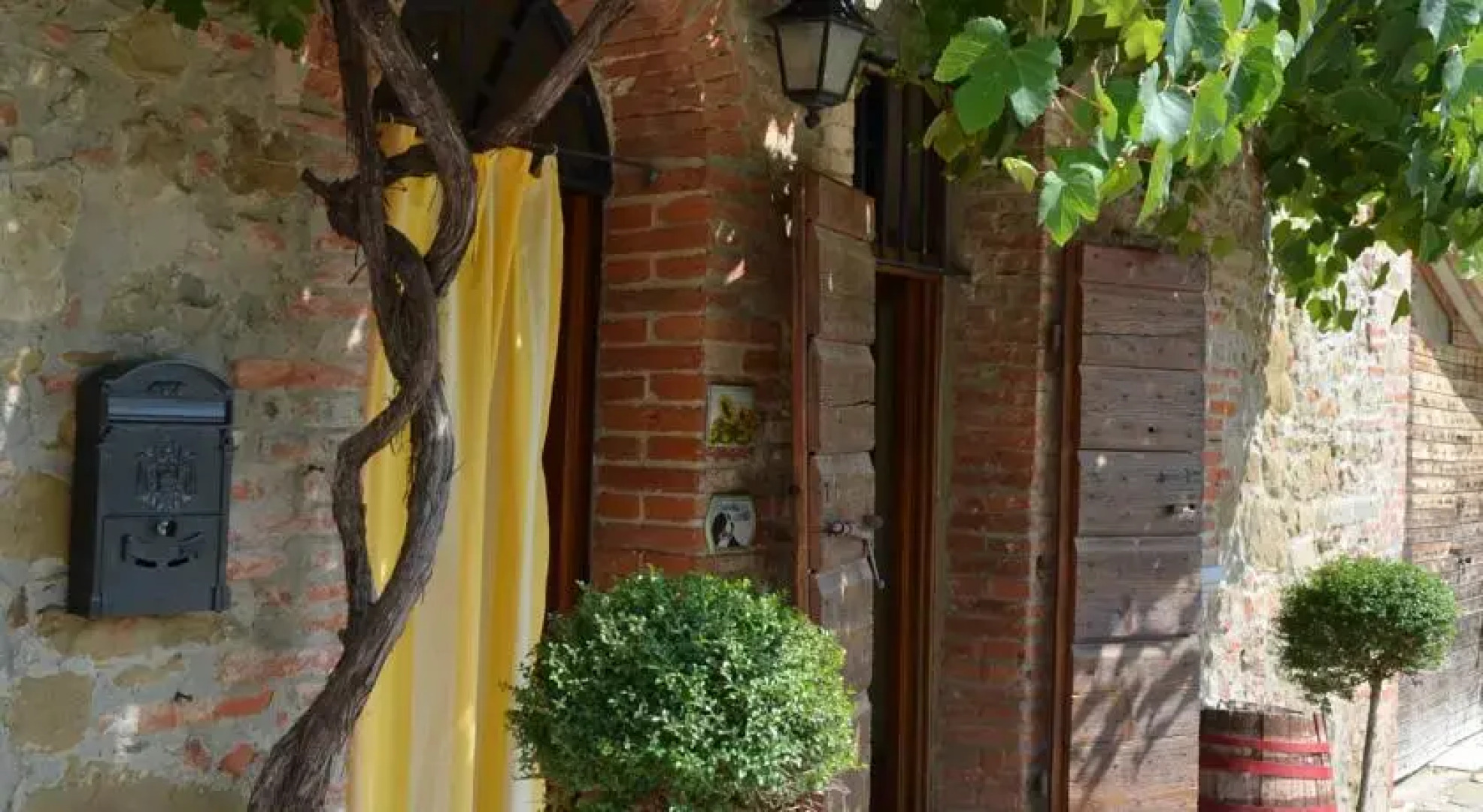 Wisteria Green House