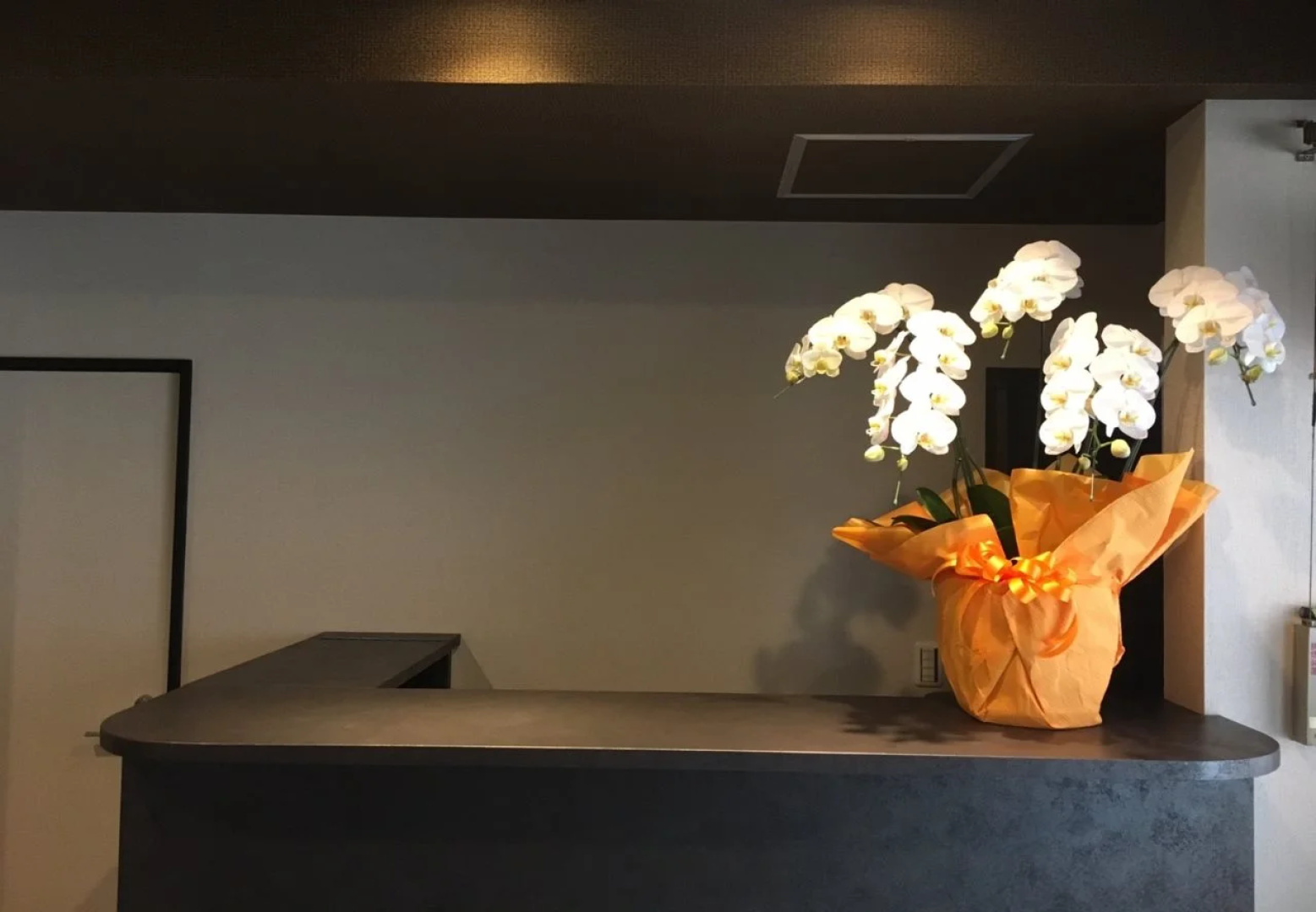 SUMIYA Spa & Hotel
