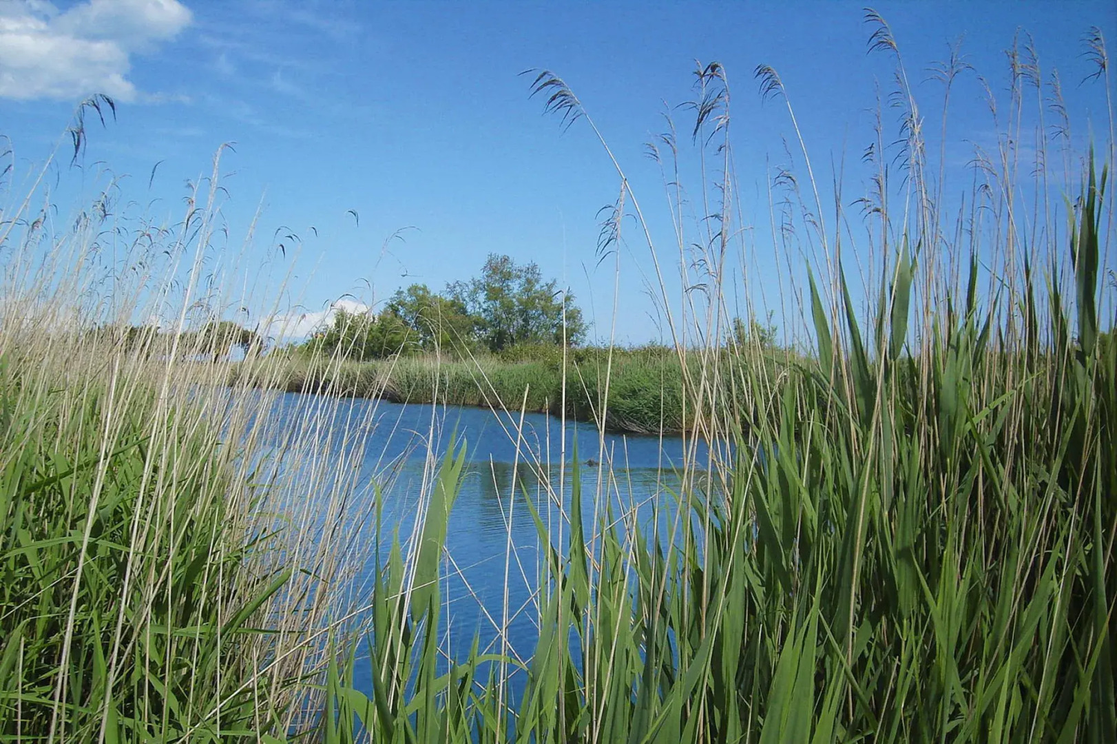 Apartment in Ghisonaccia Near Sandy Beach