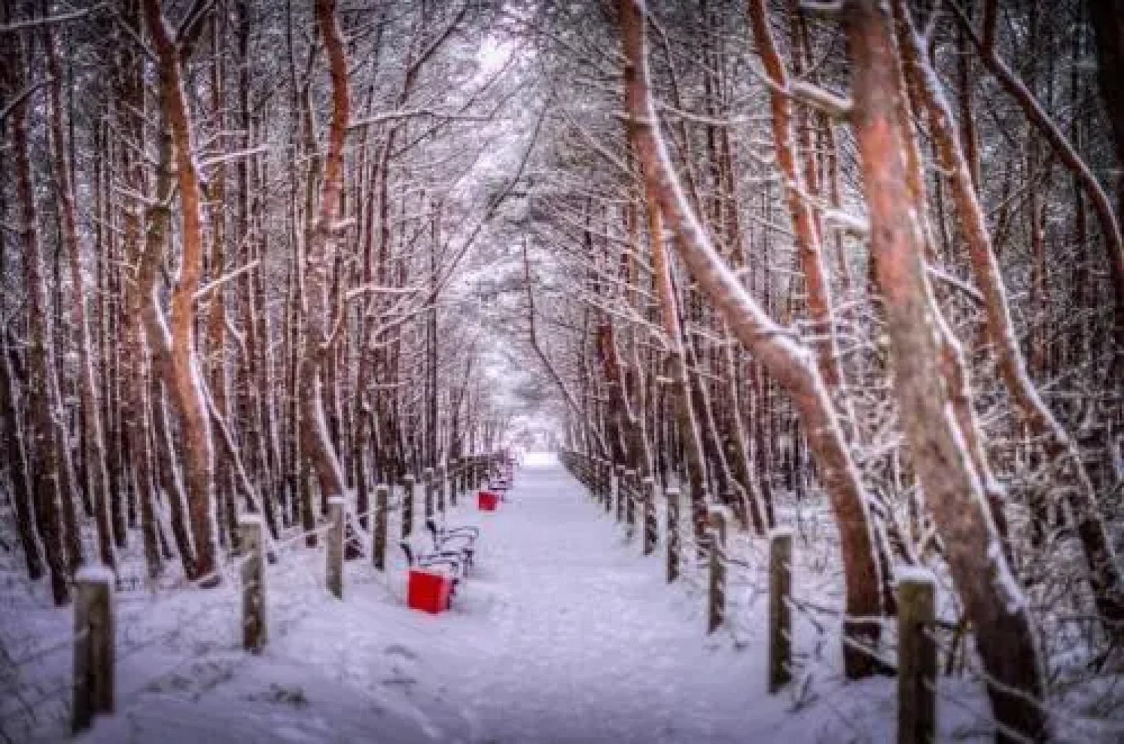 Domy z Bala - Bungalow 50 metrów od Plaży