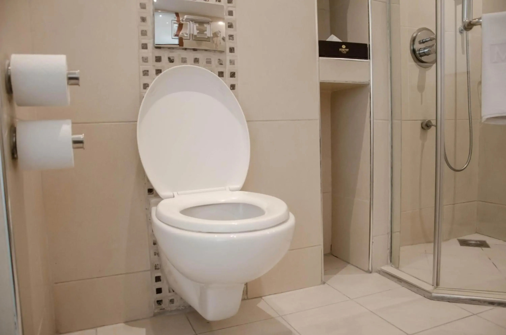 Best Western Plus Meridian Hotel