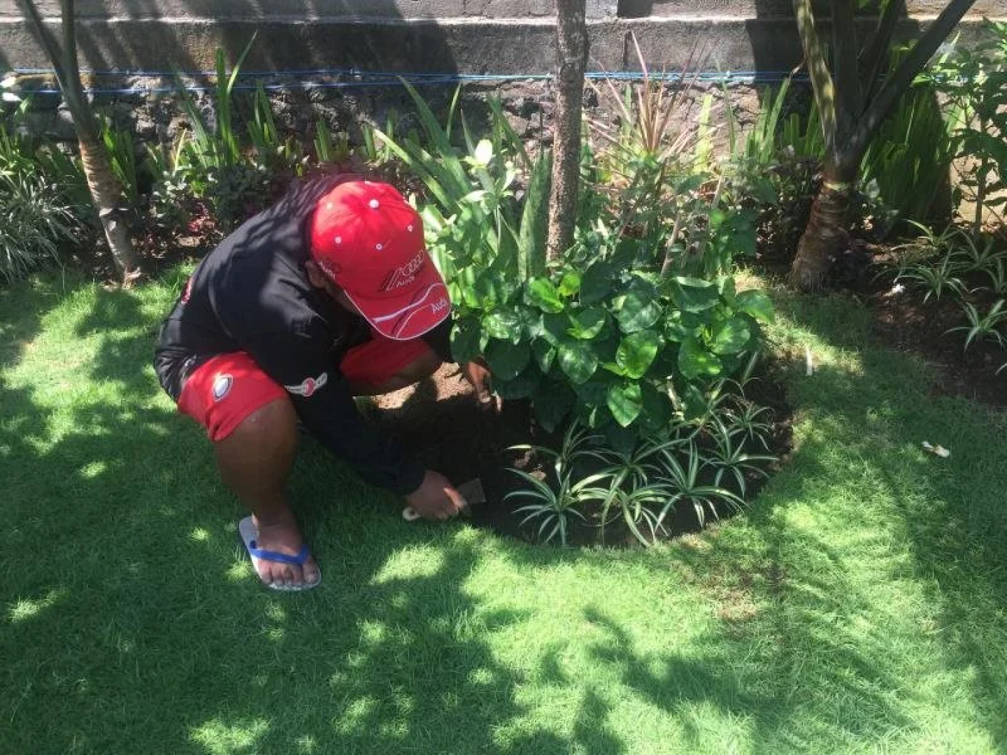 Pousada Canggu