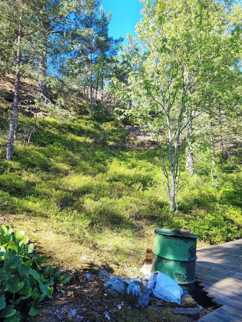 Sea-view Cottage High up in the Trees