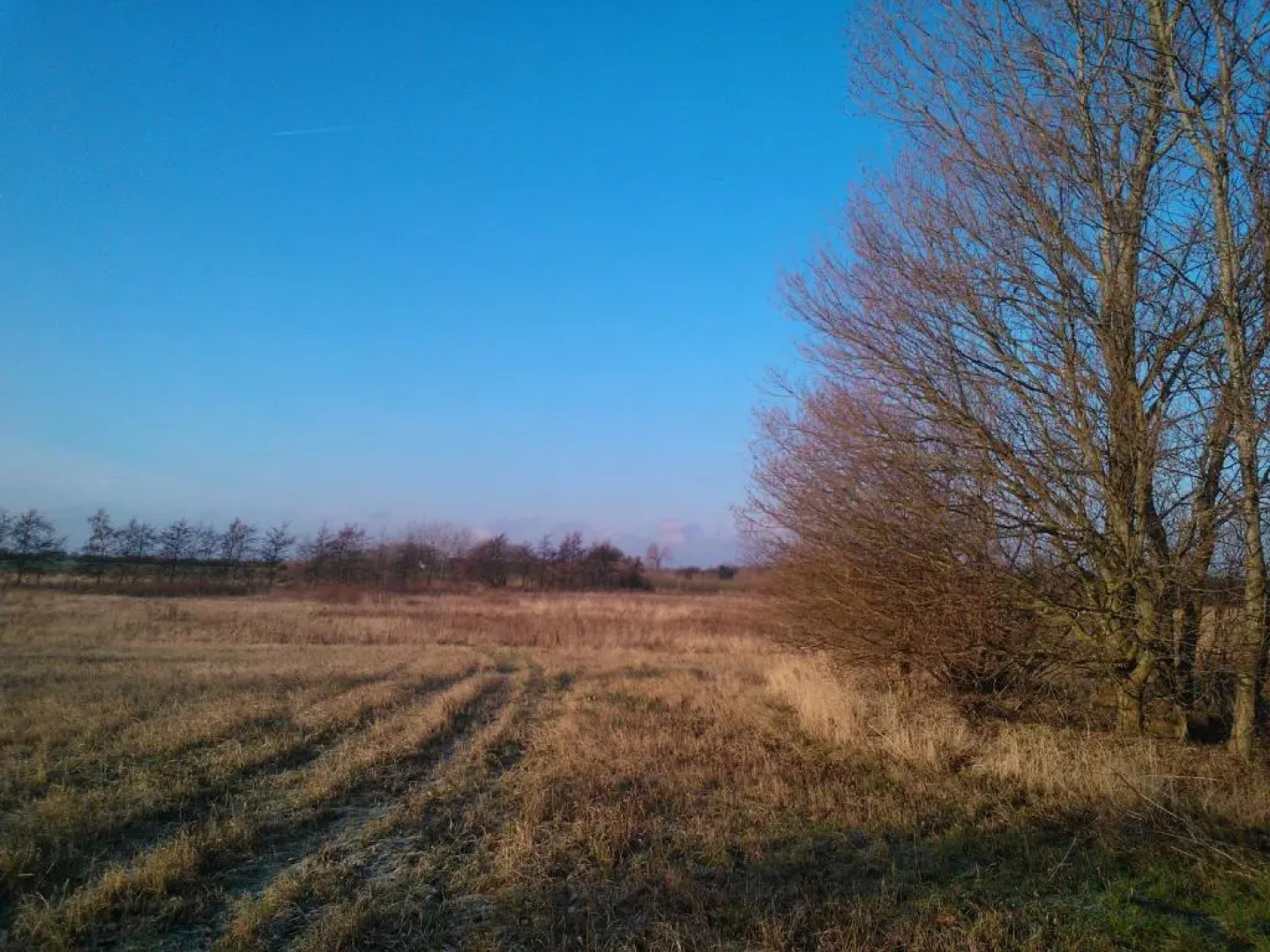 Holmehuset Bed & Breakfast - Gårdhotel