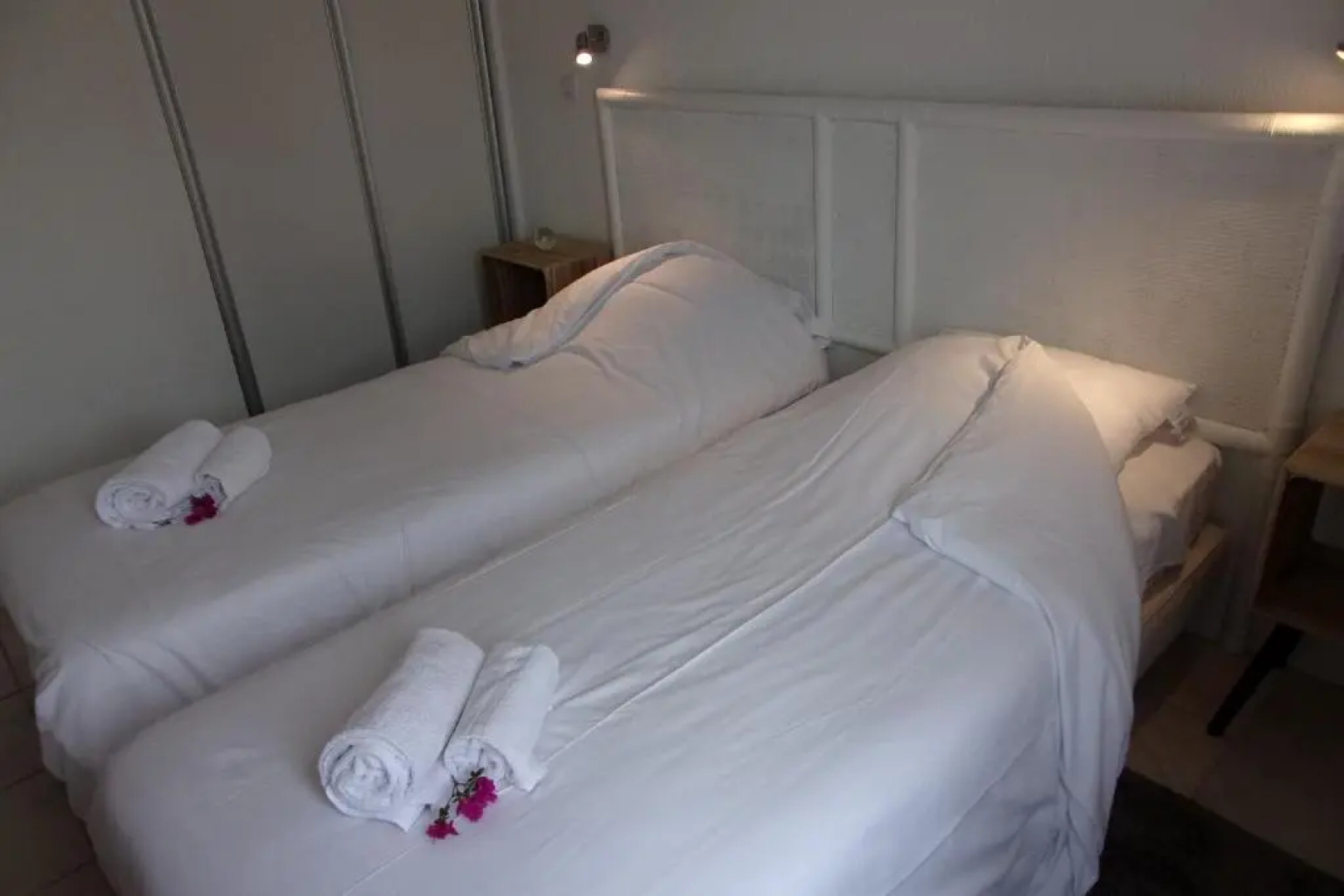 Beautiful Duplex House with Terrace And Garden