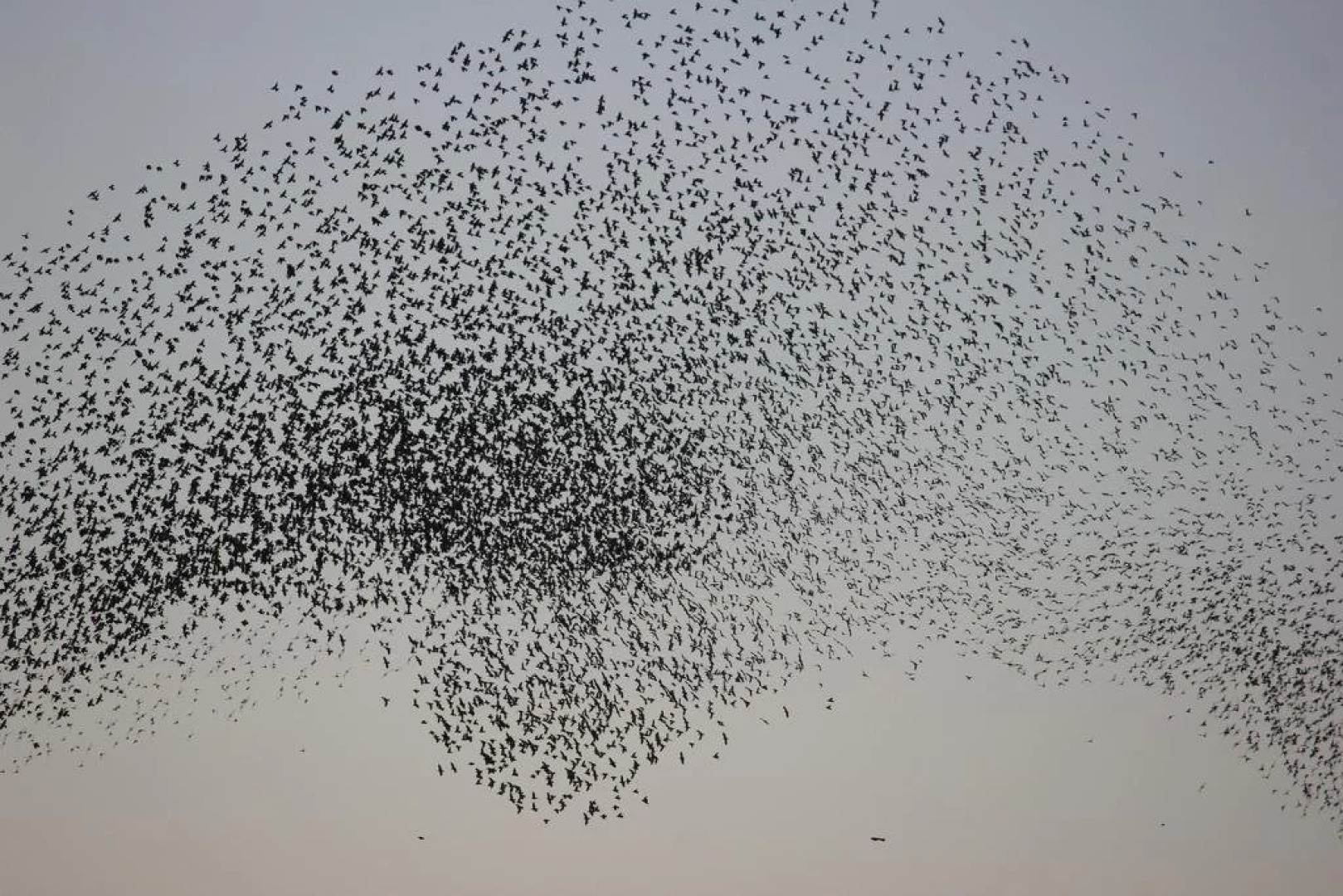 Astrupgaard Farm Holiday