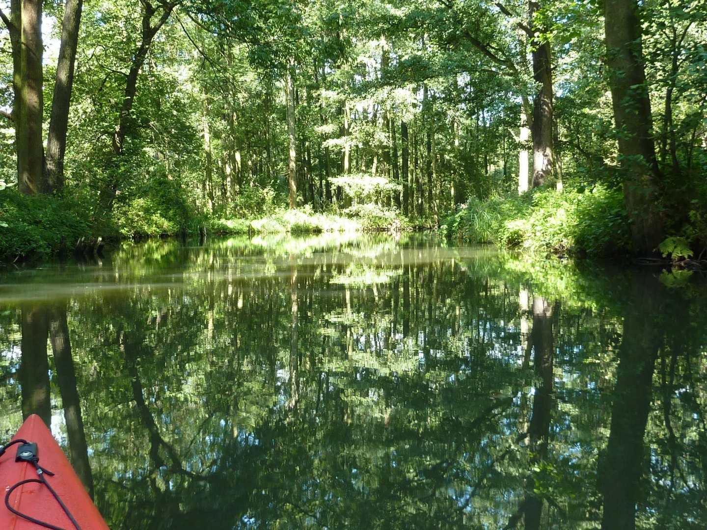 Spreewald - Pension Spreeaue