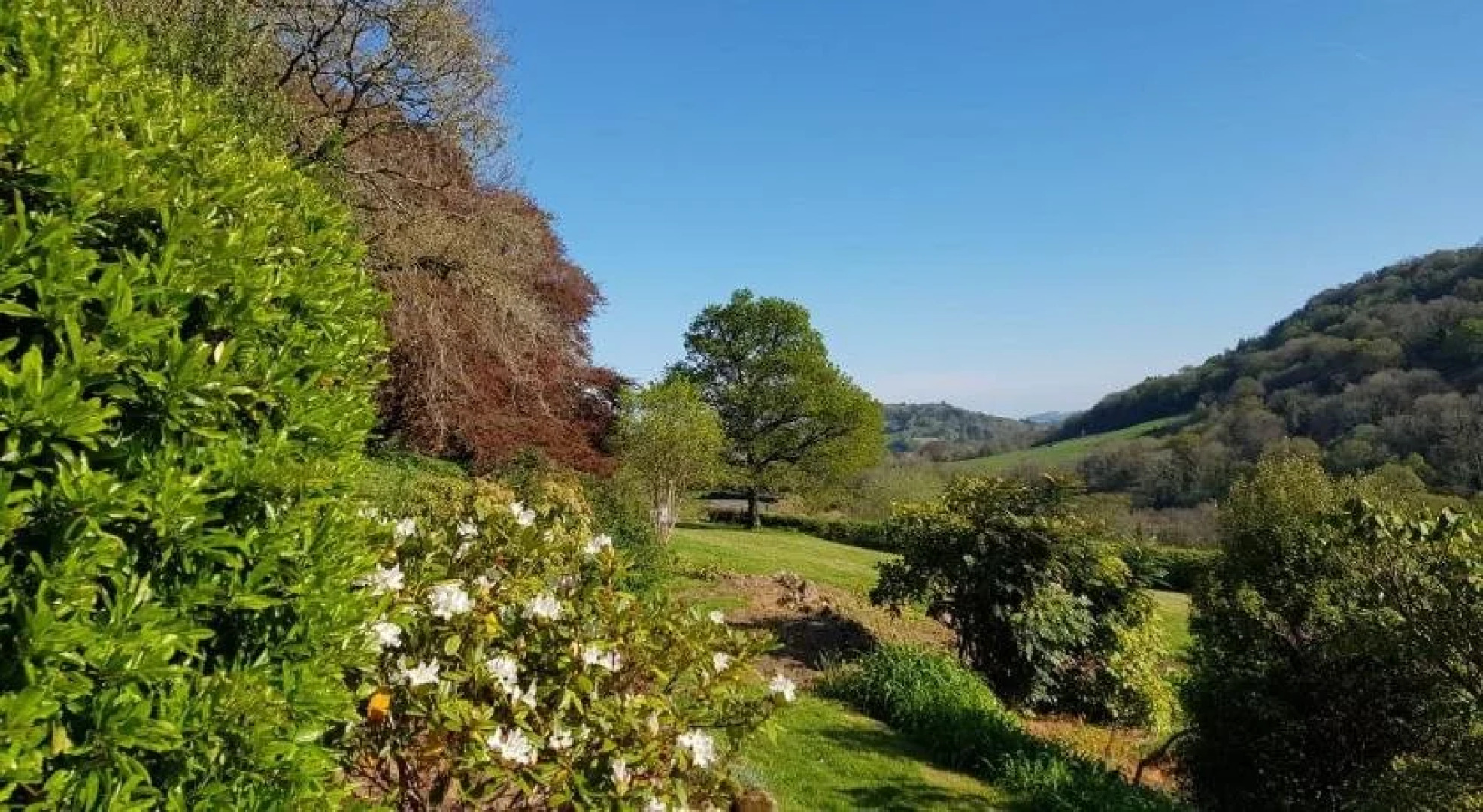 Eastwrey Barton - Guest house