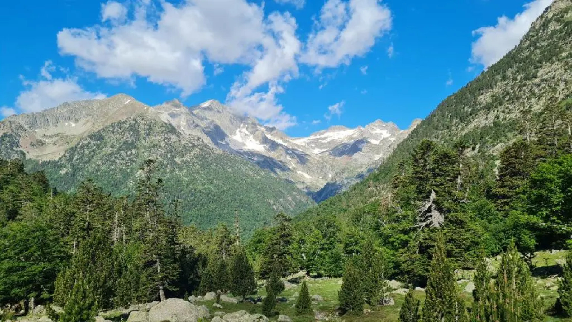 Apartament Vent de Port