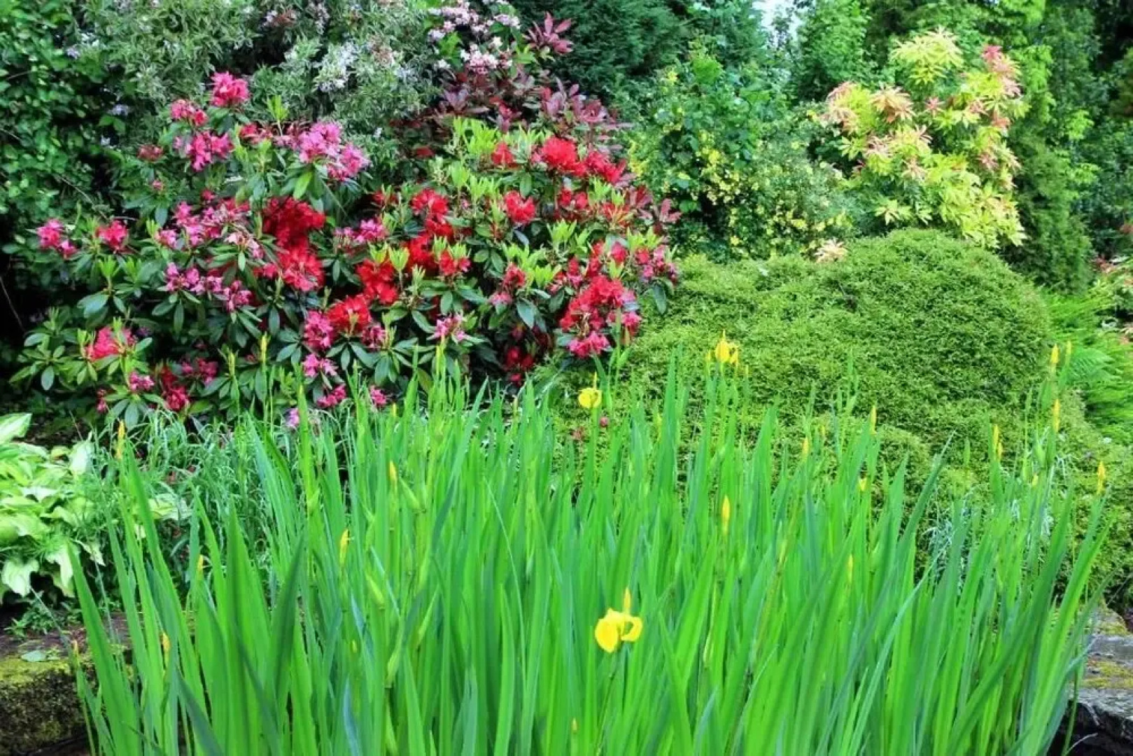 Westacre Bed & Breakfast