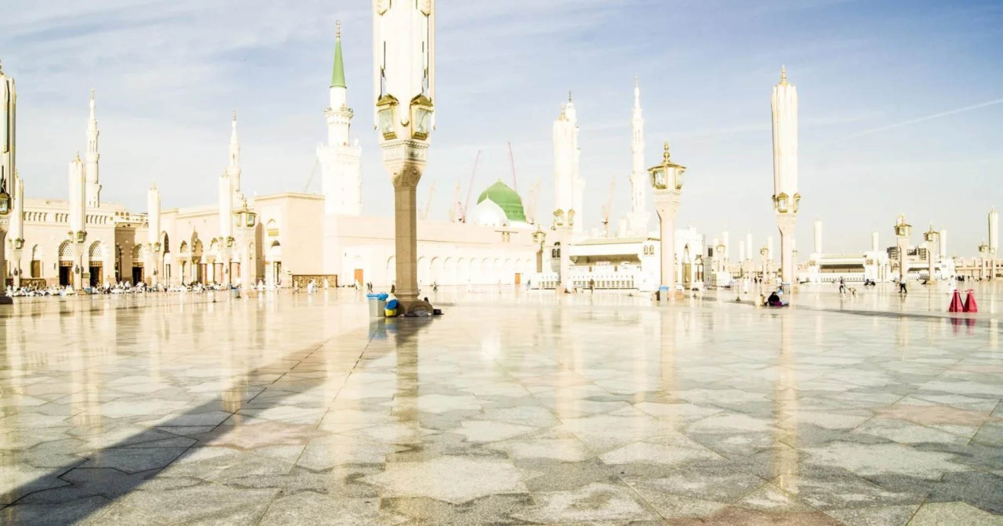 Alansar Golden Tulip