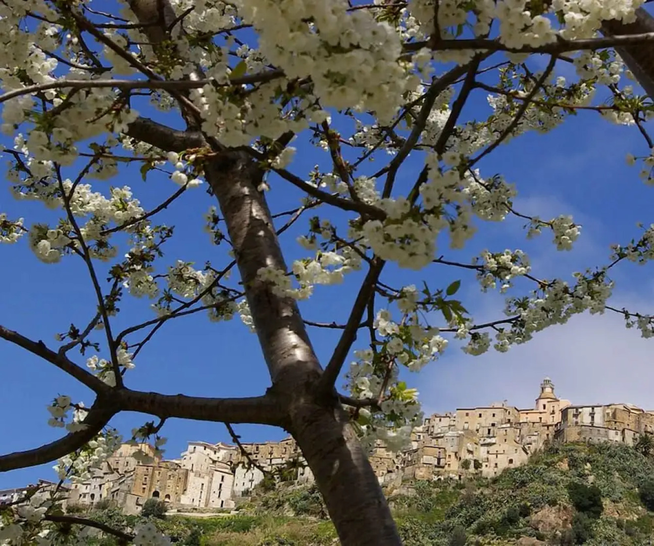 EcoBelmonte Albergo Diffuso