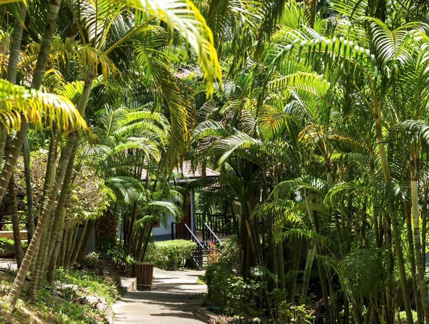 Railay Phutawan Resort