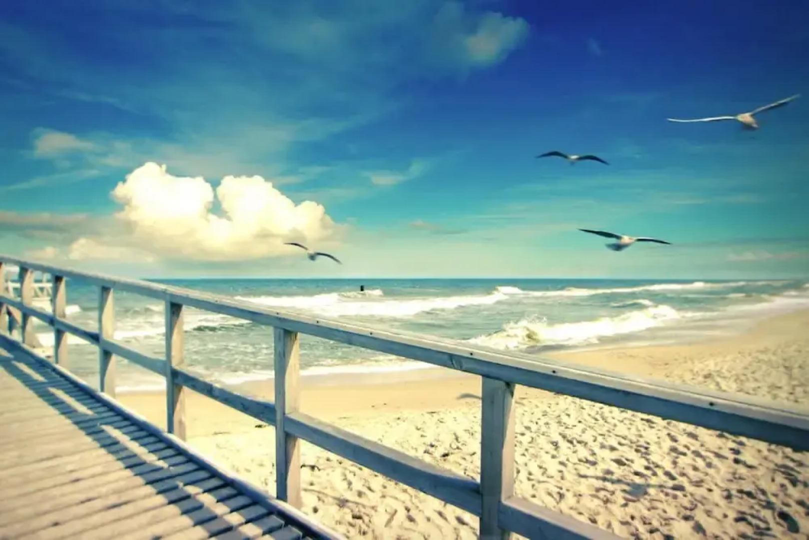 Spacious Holiday Home With Private Garden