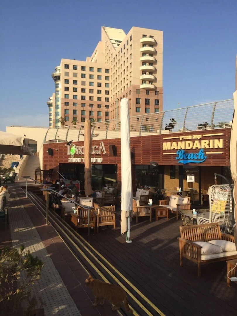 Apartment by the Sea