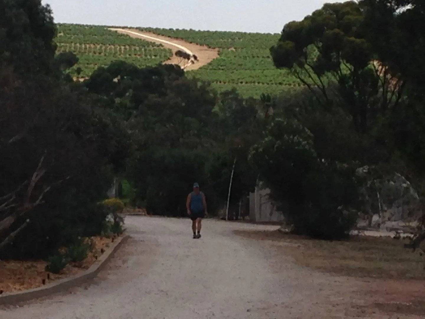 Seppelts View Cabins