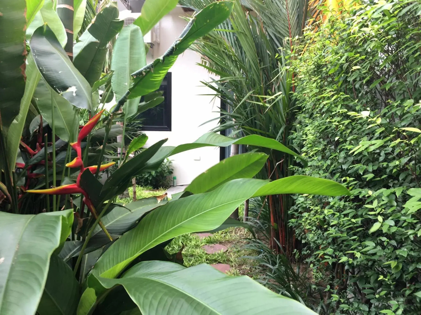 Tandeaw View (SHA Extra Plus)