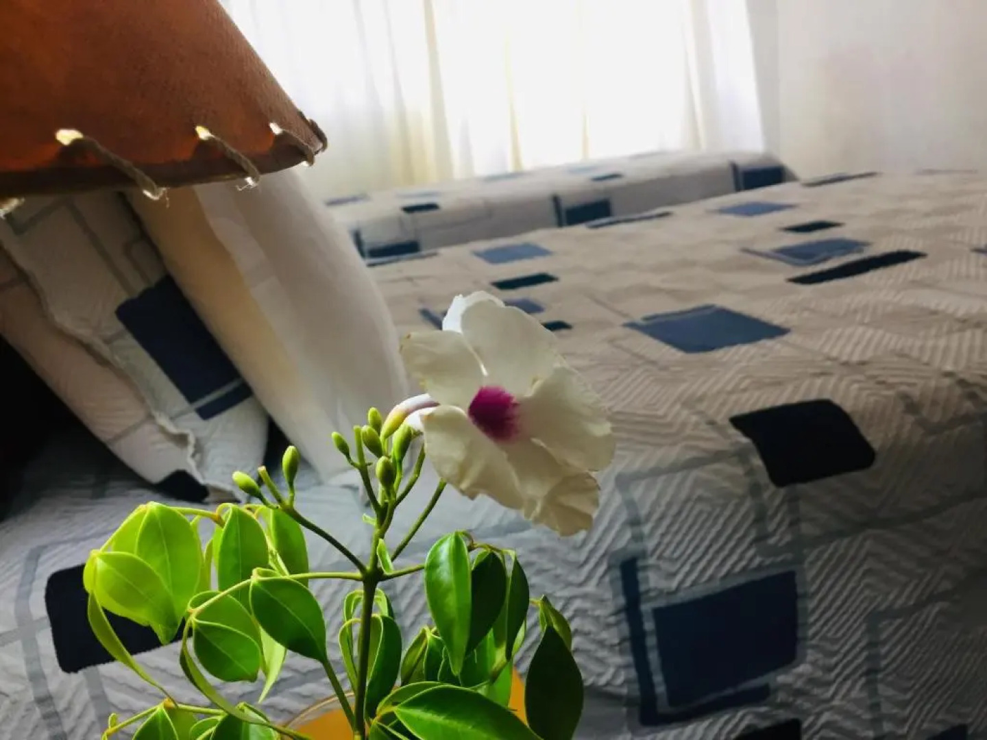 San Remo Terrazas Hotel