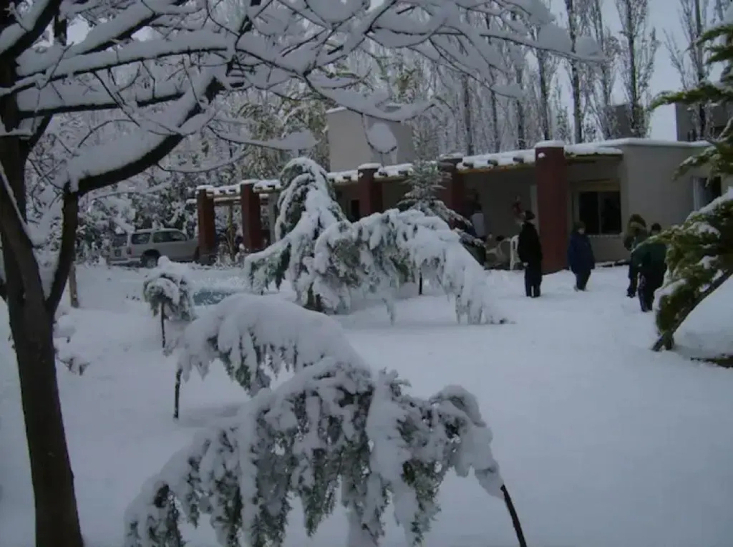Cabañas Parque Vistalba