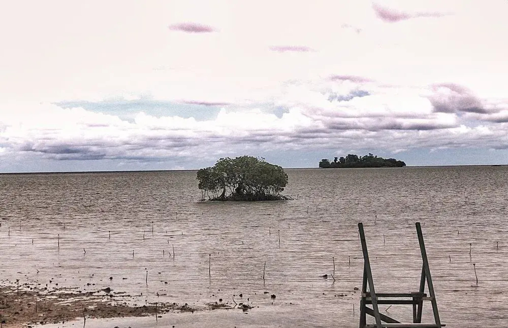 Walai Penyu Resort - Campground