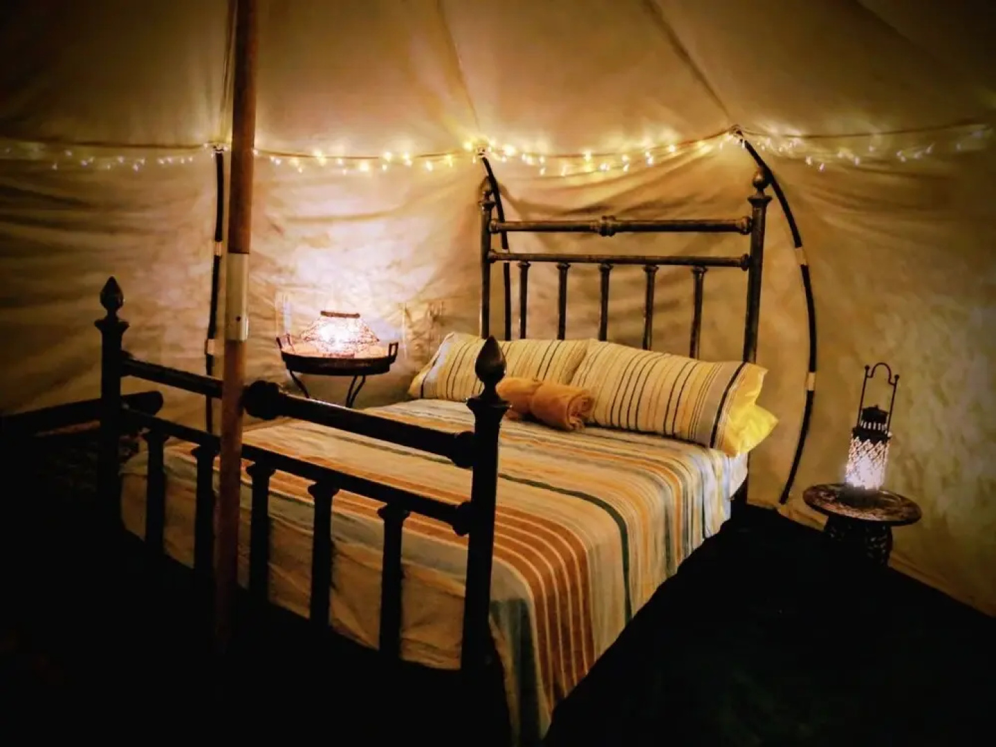 Wild Lotus Camp