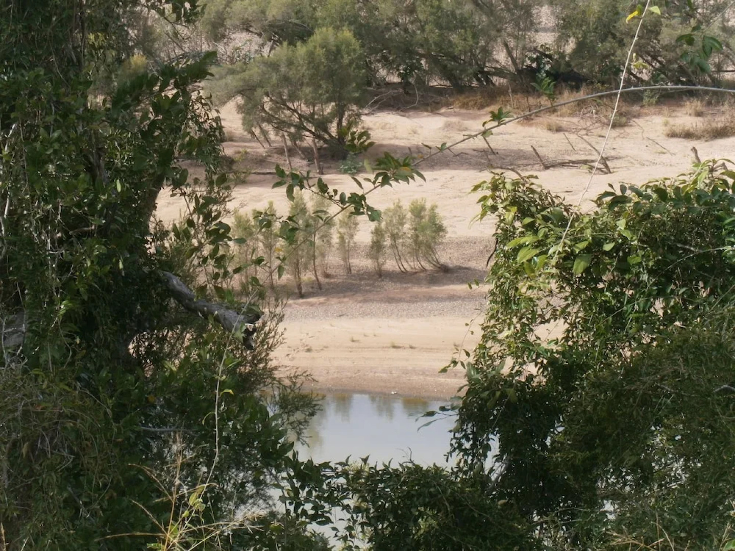 Bungadoo Breeze - Clothing Optional