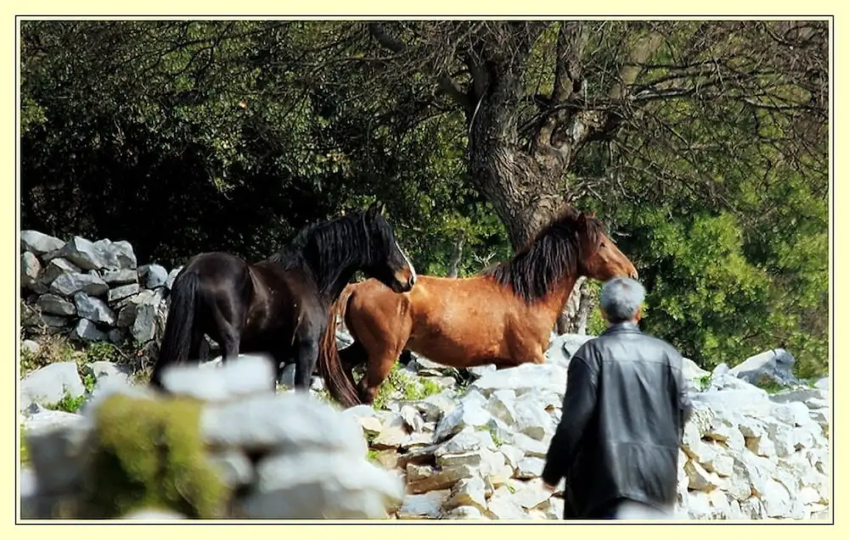 To Archontiko Guest House