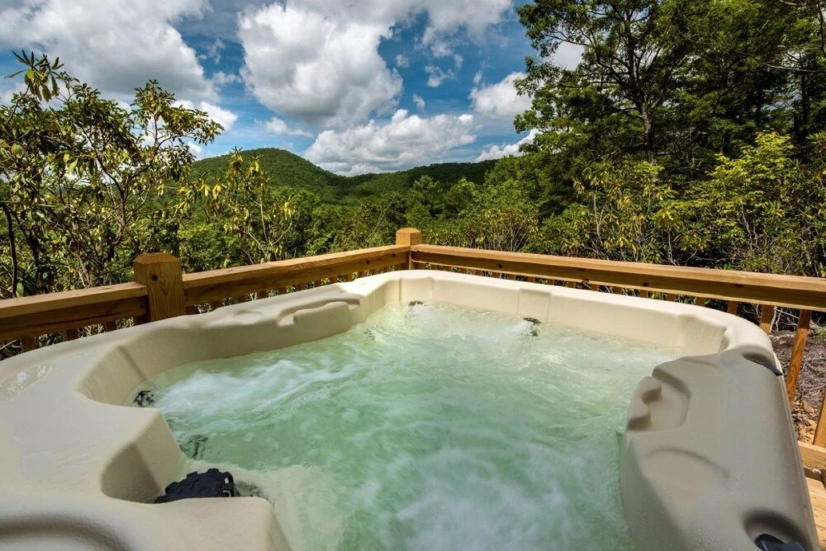 Dogwood Dream- Mineral Bluff