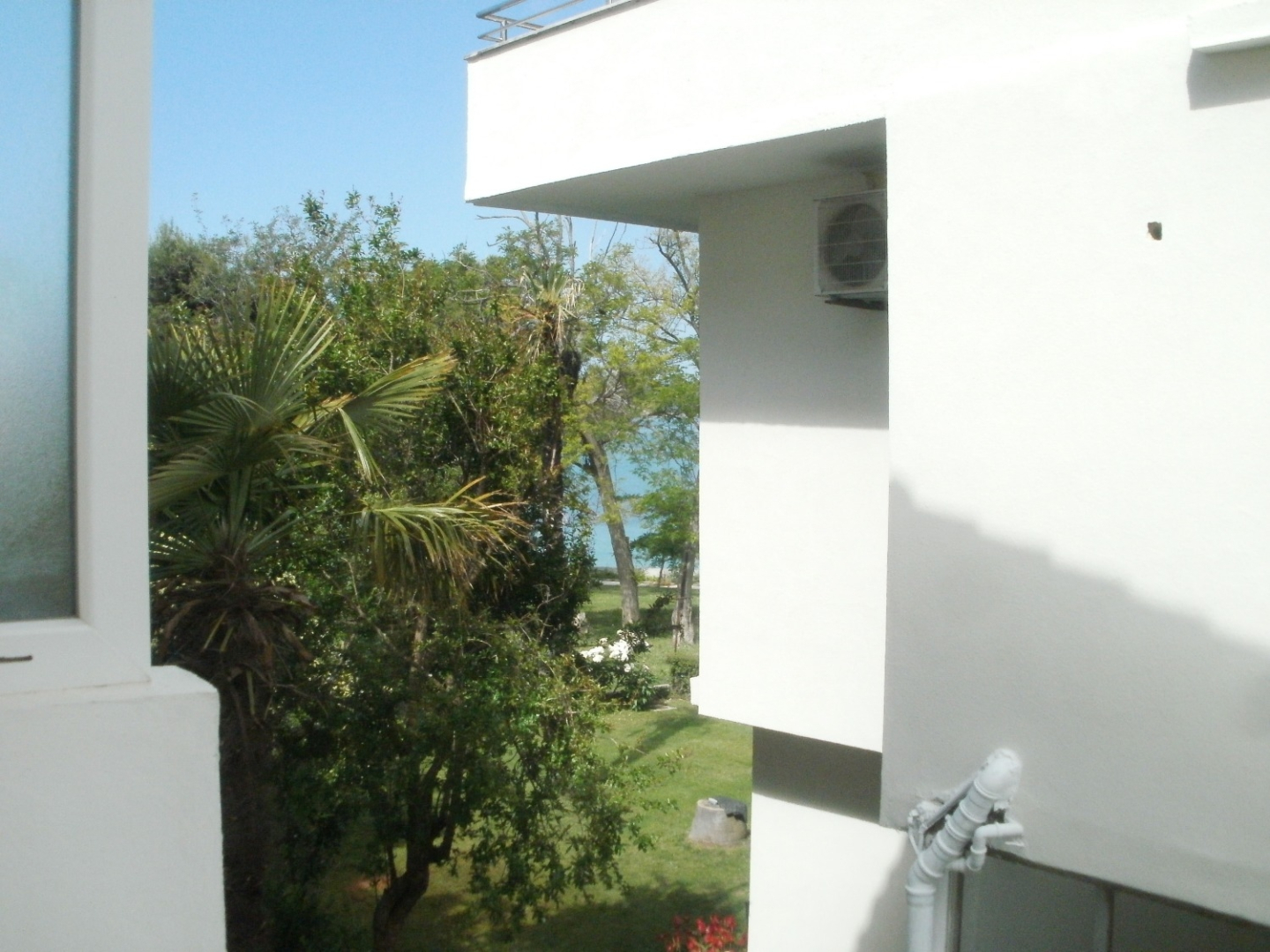 Room Aleksandra - 10 m from sea: R7 Bibinje, Zadar riviera