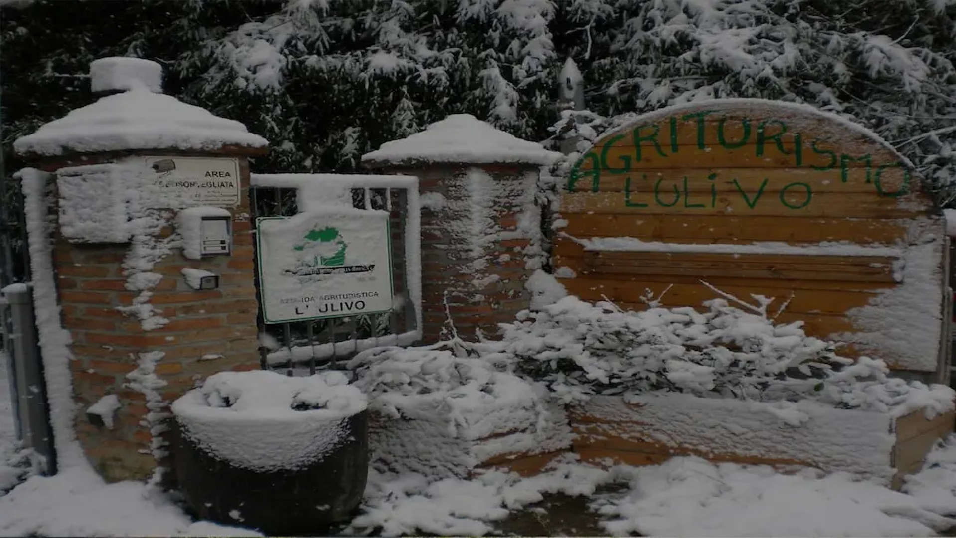 Agriturismo L' Ulivo