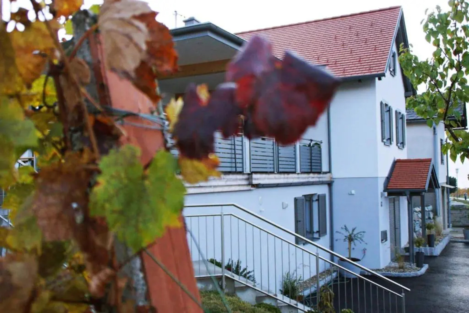 Walters Weinquartier