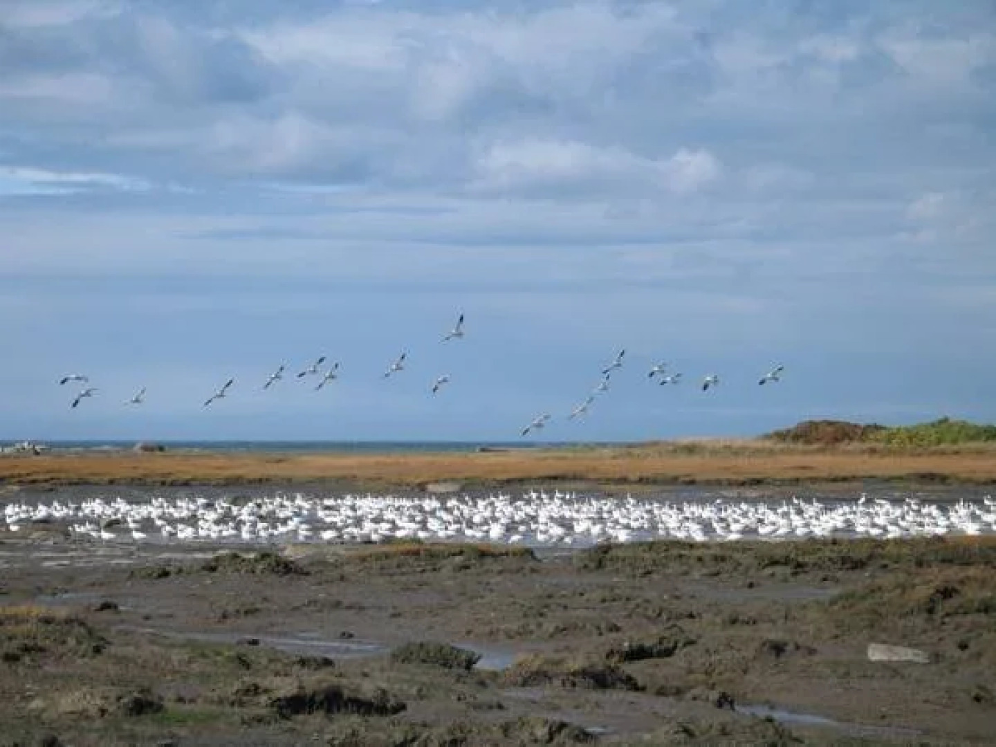 Motel au Soleil Couchant