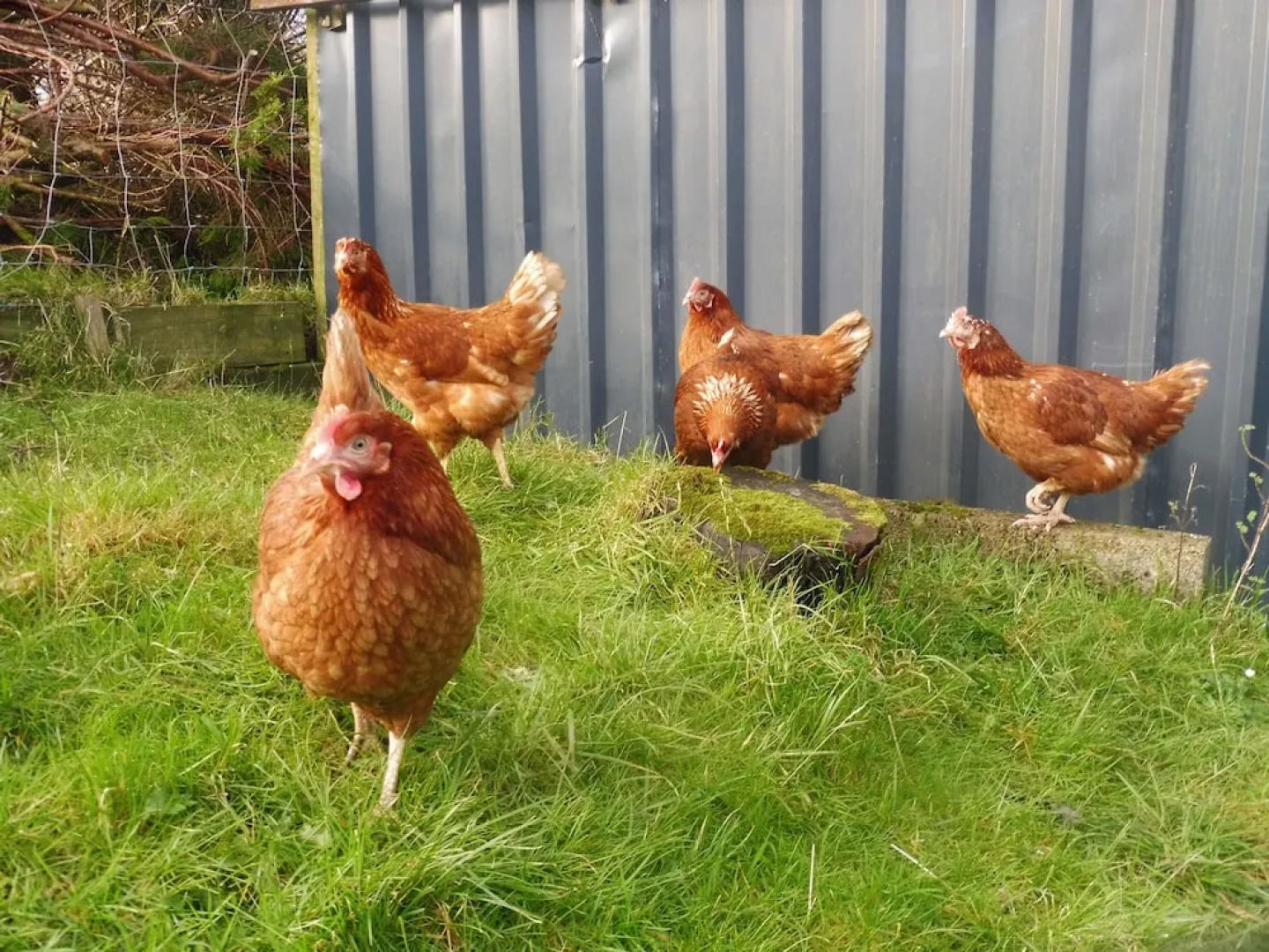 Blaencwm Bed and Breakfast