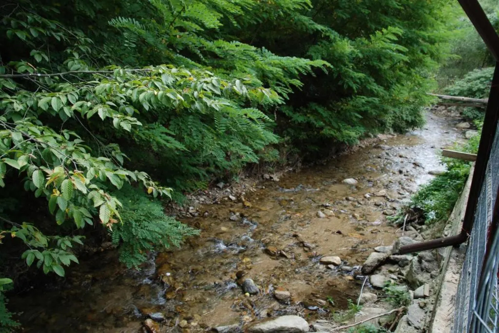 Pensiunea Casa David