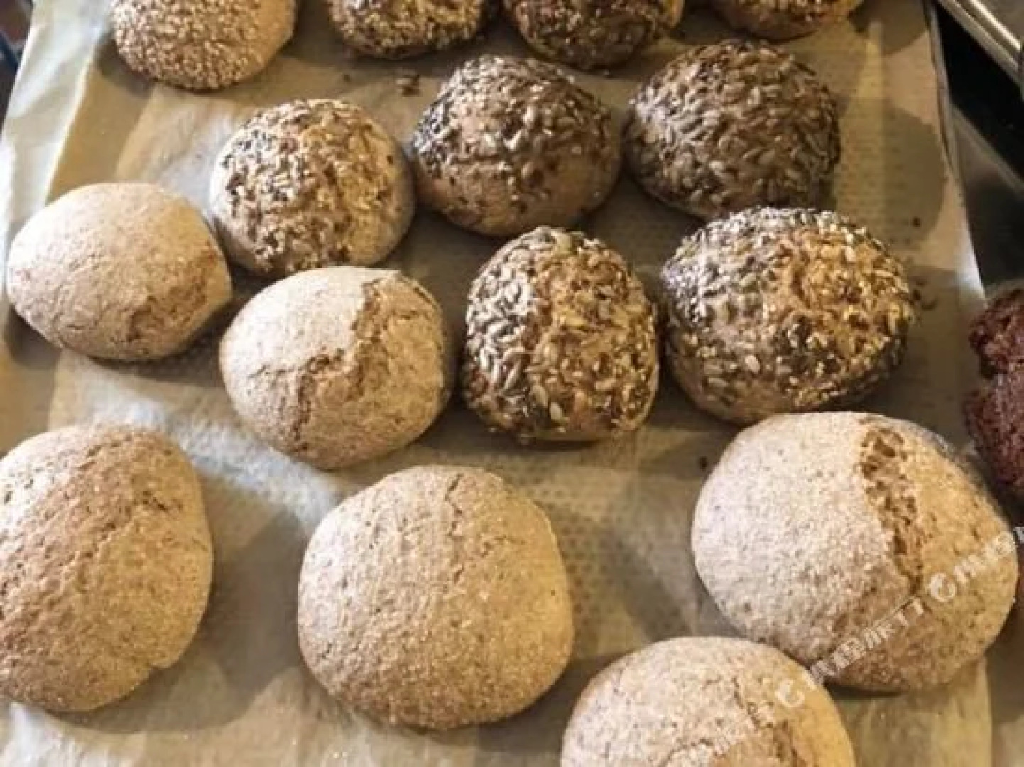 Pension Rittergut Nieder-Mosel