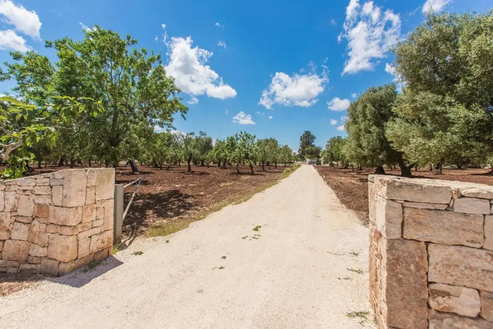 Trullo del Mandarino con piscina