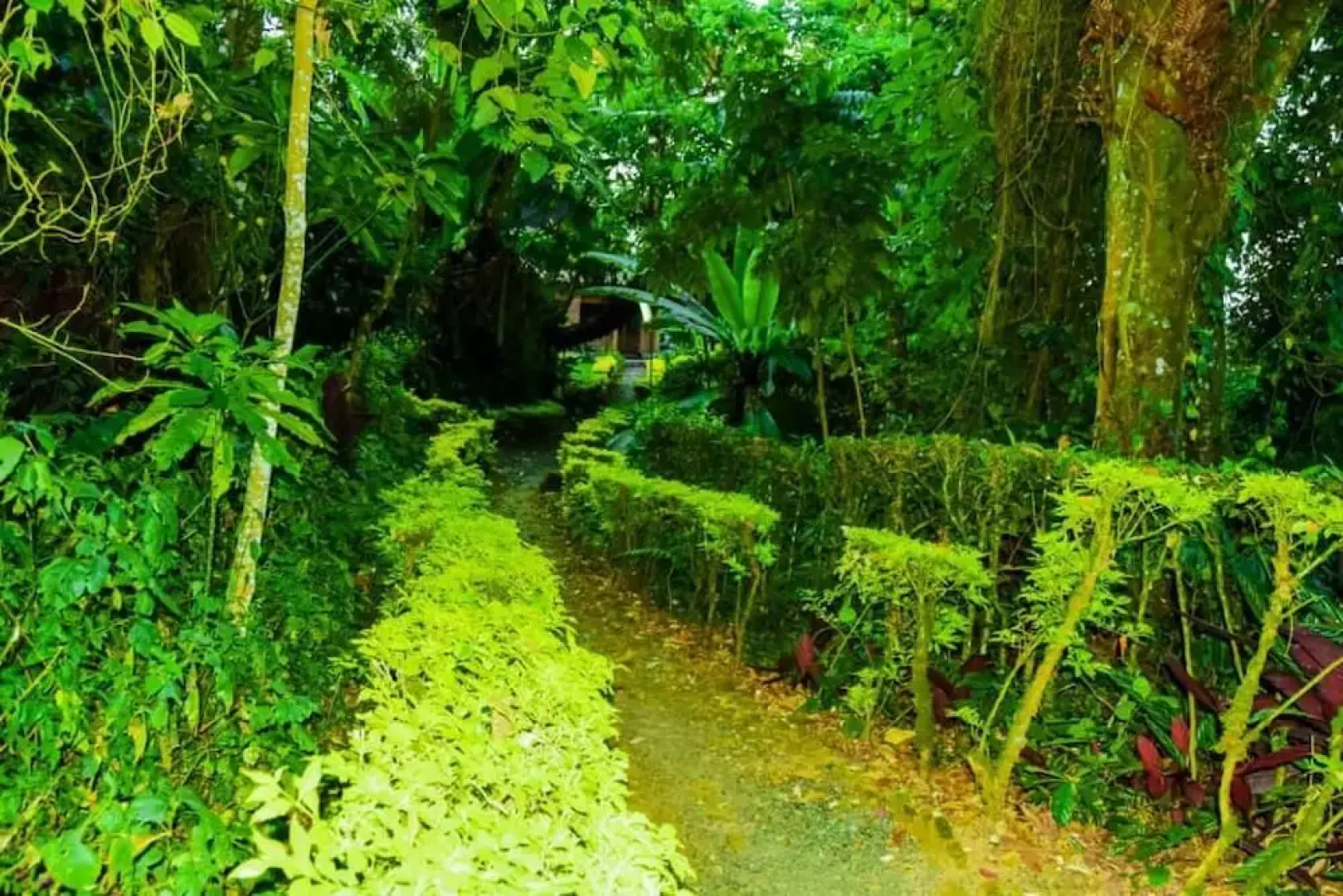 Gisakura Guest House