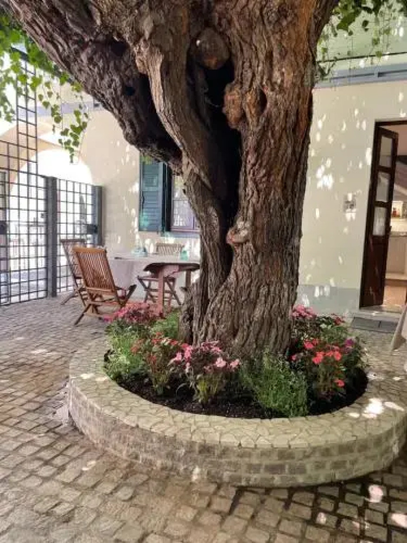 Antica locanda al Gelso