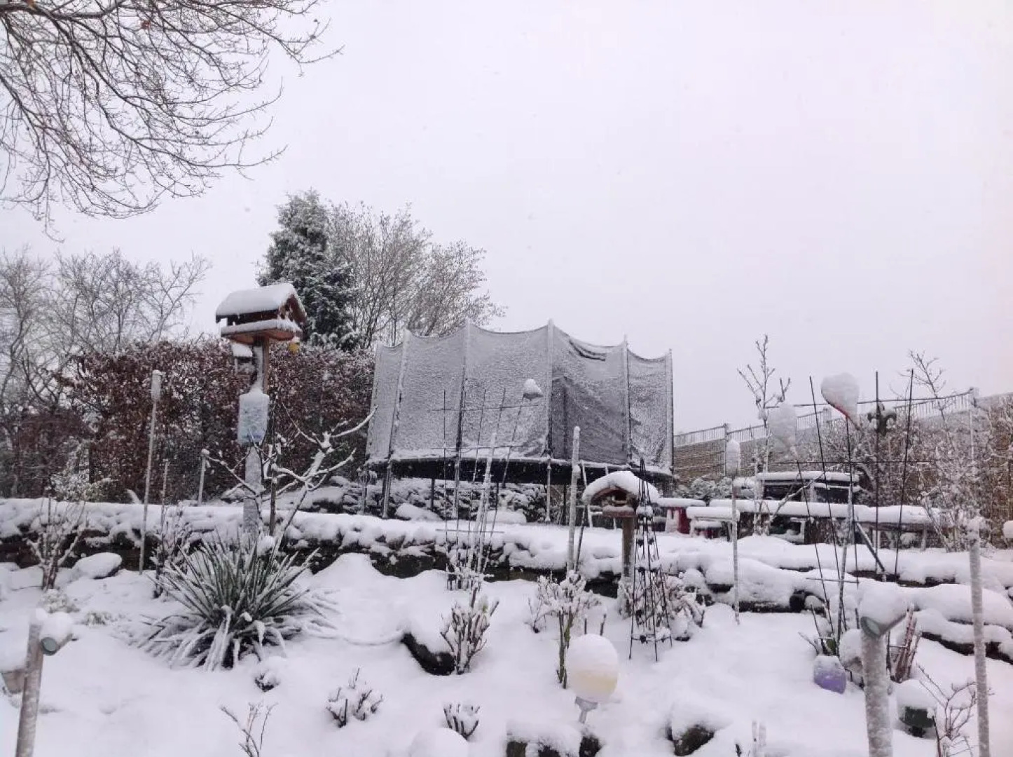 FRANKES LODGE Apartment mit Garten und Pool