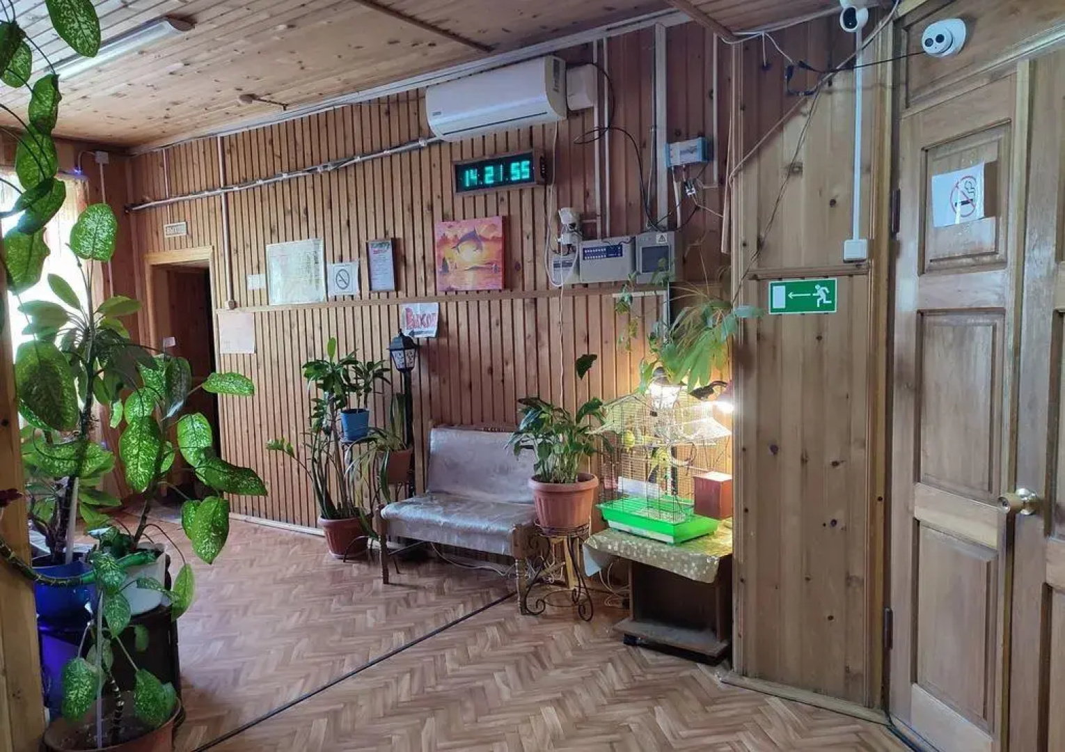 Декси