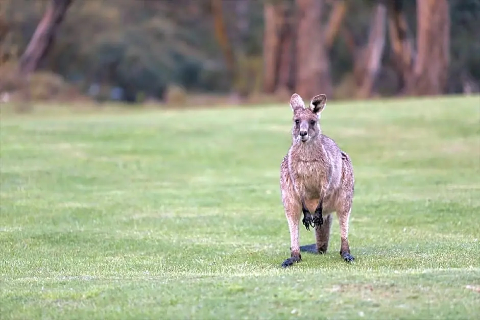 Lake Crackenback Resort & Spa